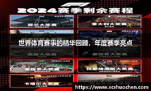 世界体育赛事的精华回顾，年度赛季亮点